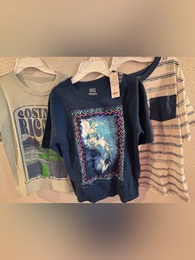3 tshirts OshKosh B'gosh and Carter’s